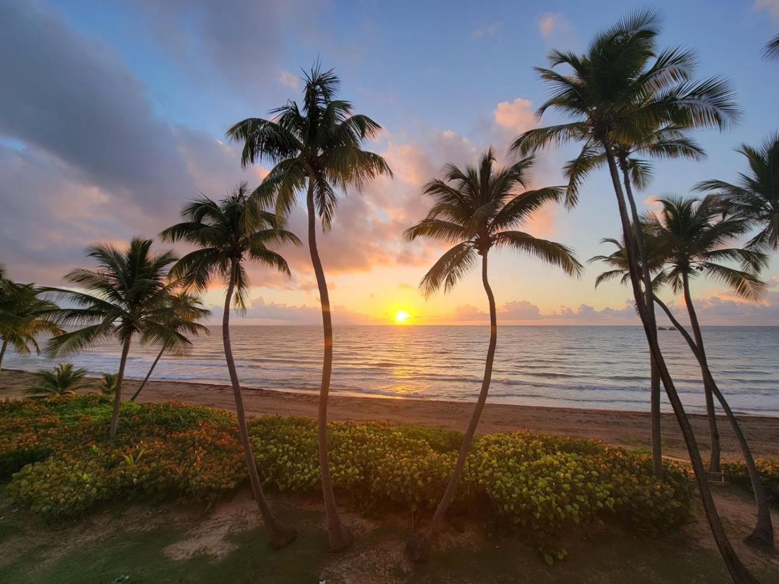 Bv103 - Amazing Oceanfront Condo Steps From Beach Humacao Exteriér fotografie
